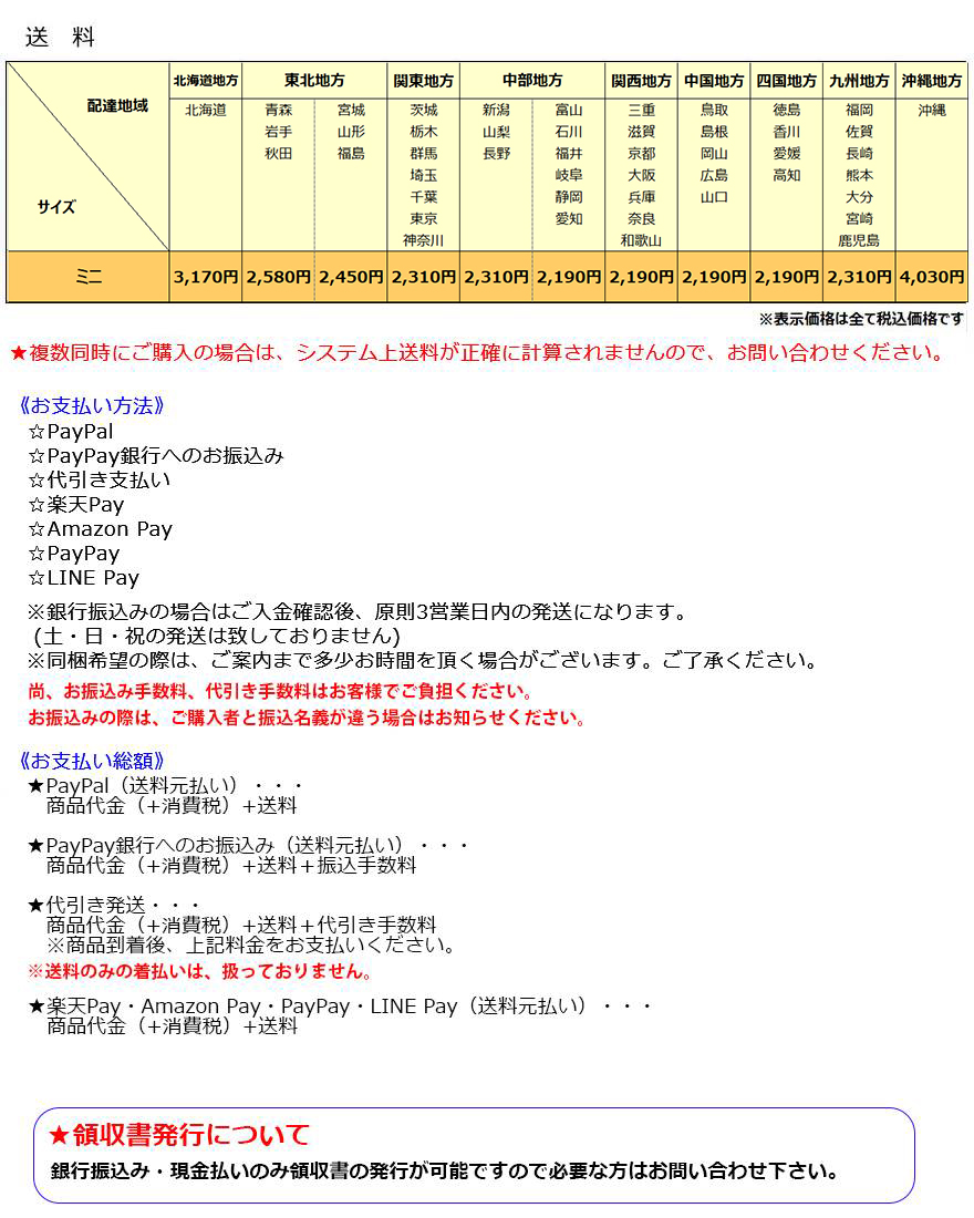 N-BOX/NBOX/Nボックス JF3/JF4 純正 右リアドアウィンドウモール